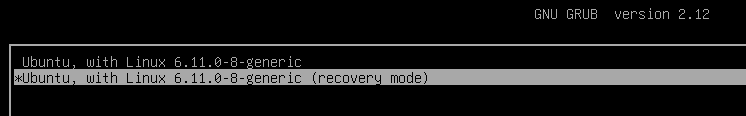 Menú de inicio de GRUB con la opción "recovery mode" activa.