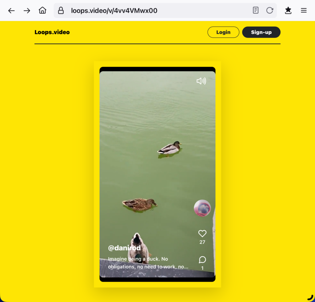 Pantallazo de la versión web de Loops mostrando un vídeo.