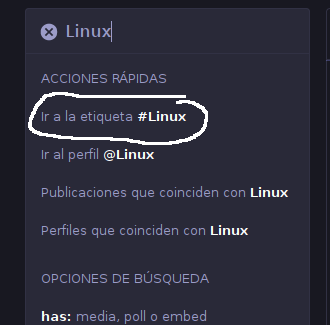 Pantallazo muestra el menú de búsqueda de Mastodon.