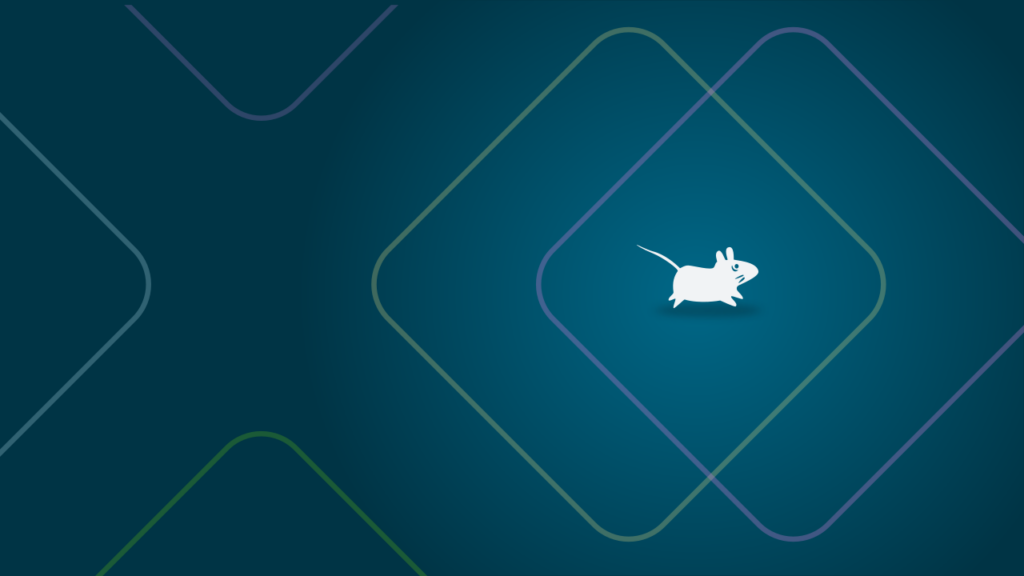 Fondo de pantalla de XFCE 4.20 muestra curvas y el logo de XFCE.